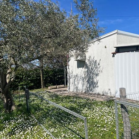 Apartma Korelc Koper Exterior foto
